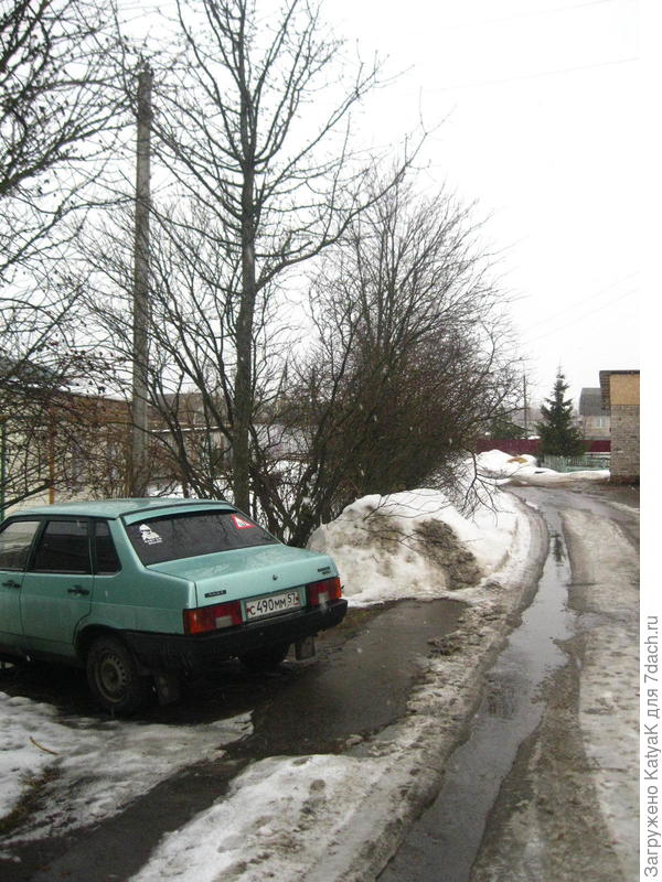 за машиной тоже акация, летом пол дороги загораживает