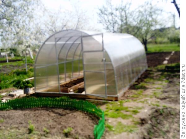 тепличка 6 метров счастья)))