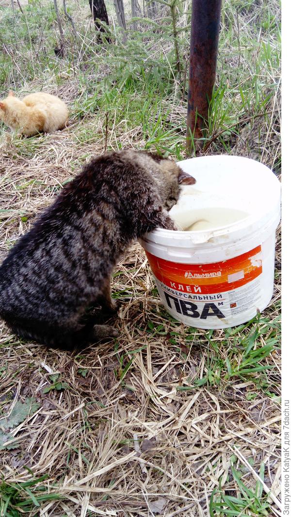 ловись рыбка...