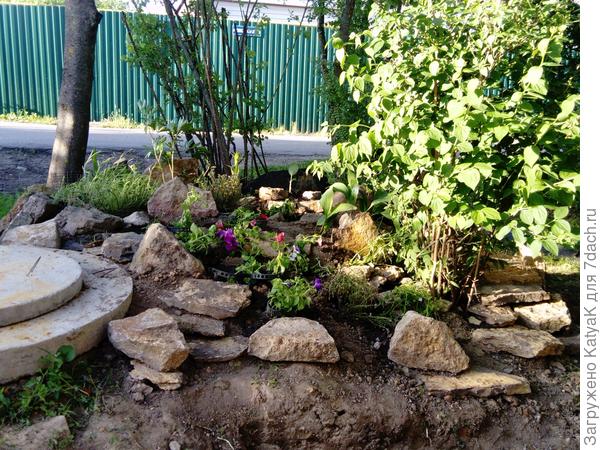 клумба демо версия)))))