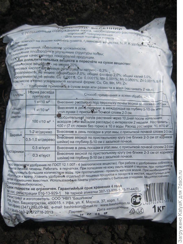 томат лисенок