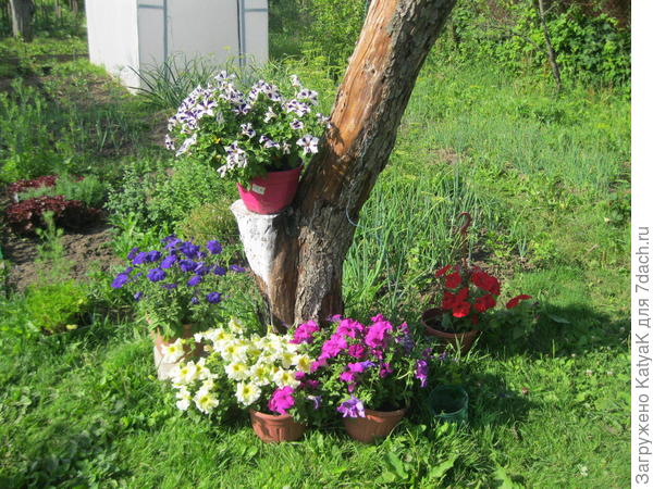 прогулка