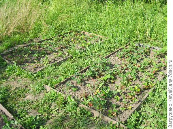 прогулка