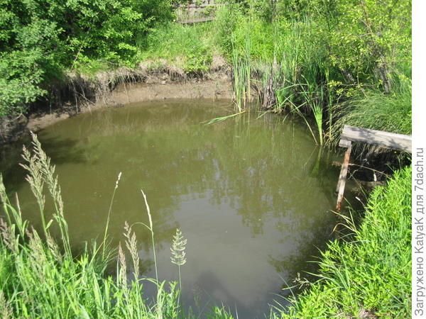 прогулка