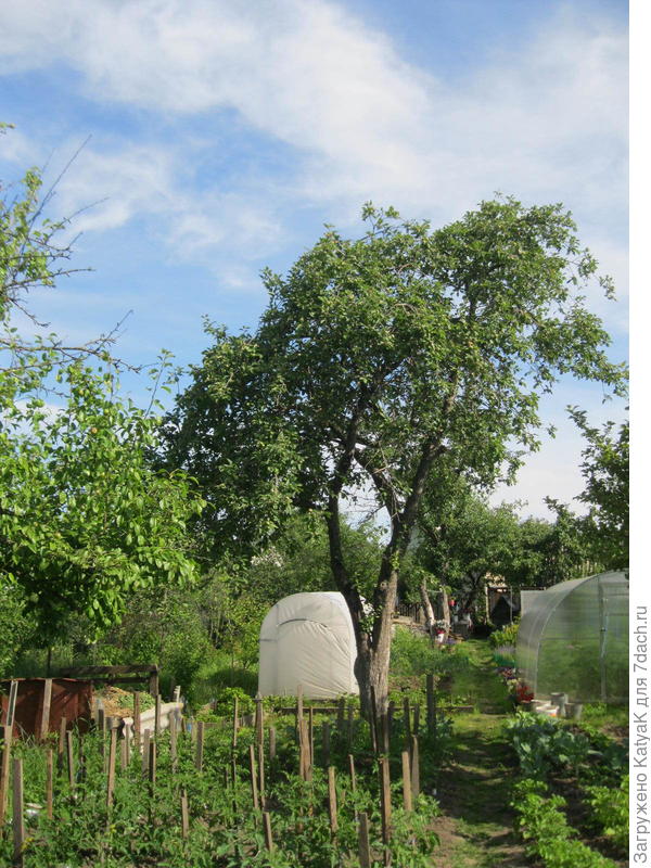 прогулка
