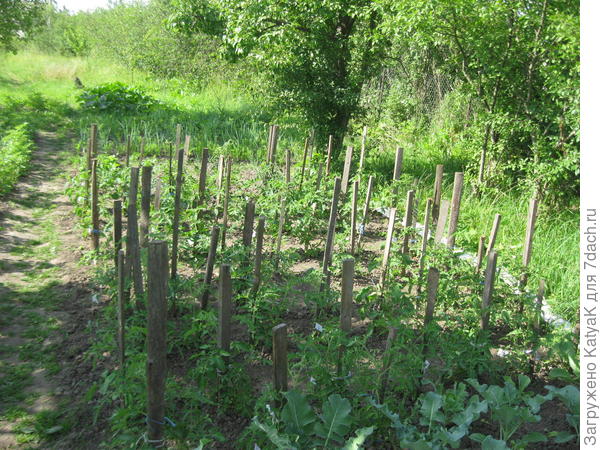 прогулка