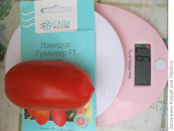 гулливер