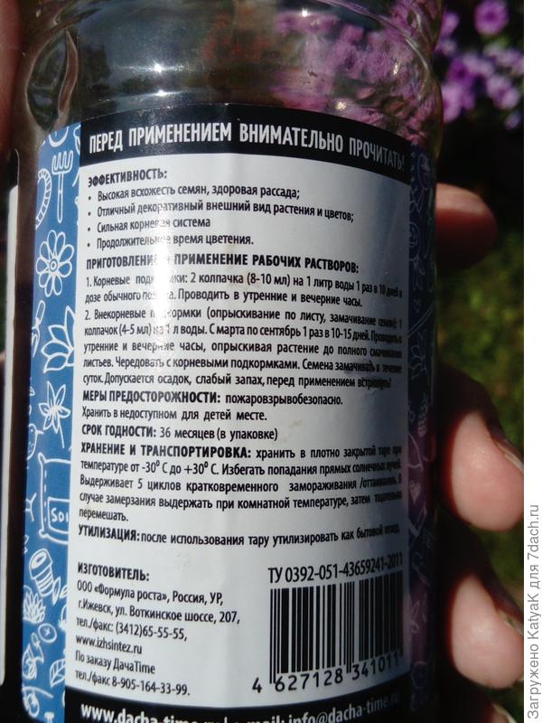 Комплементуния лиловая