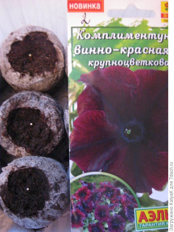 комплементуния вк 6.02