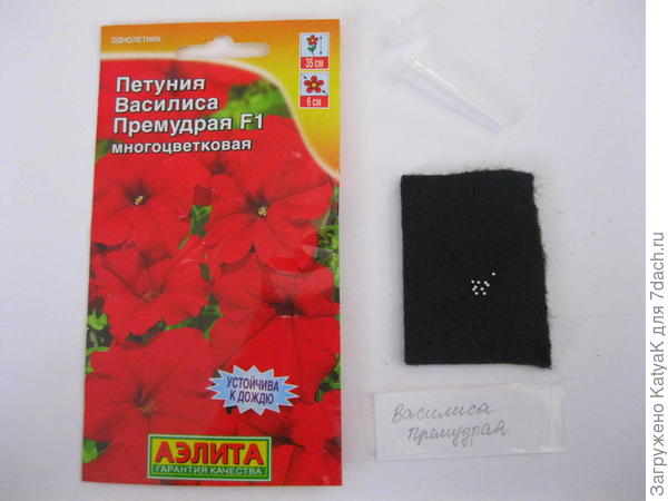 василиса премудрая