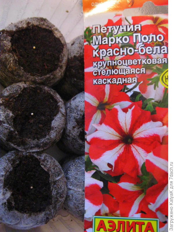 посев в джиффи