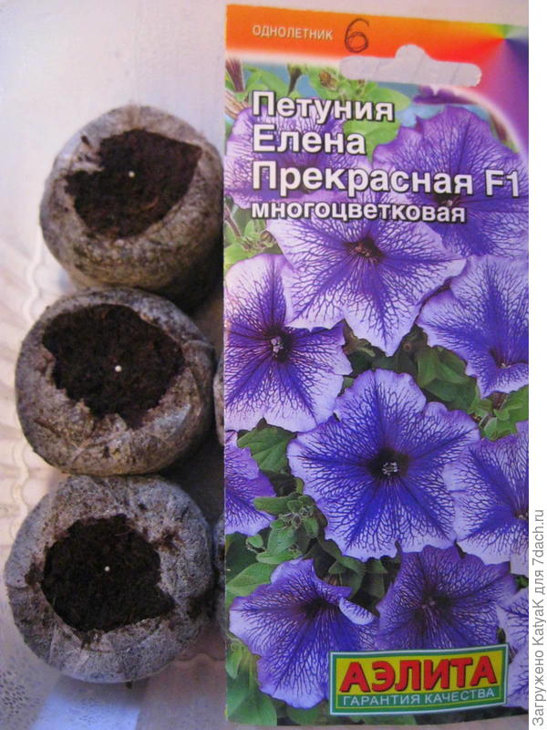 Елена Прекрасная