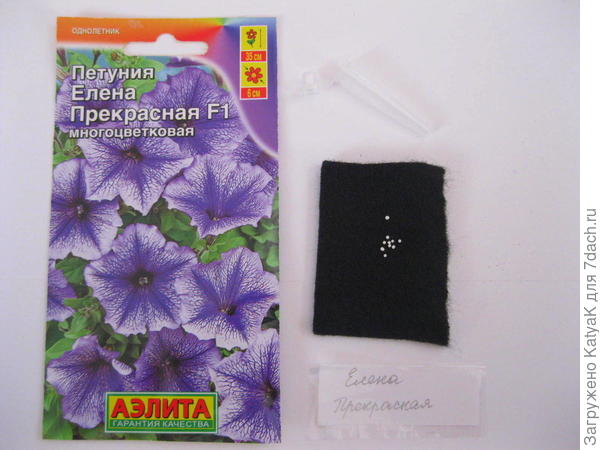 Елена Прекрасная