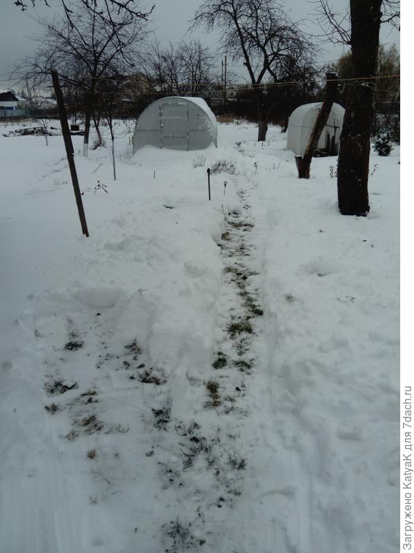 2 декабря после снегопада