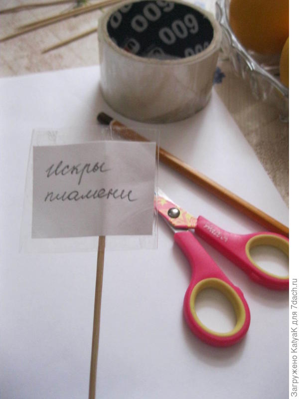 делаем таблички для растений