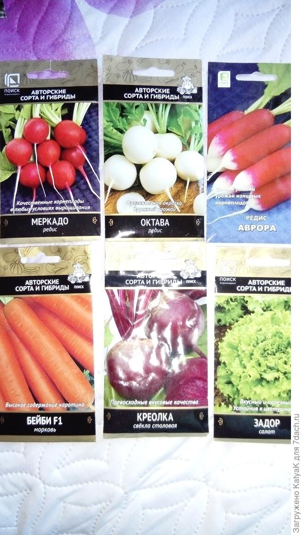 приз от ПОИСК