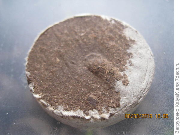 низ сразу насторожил