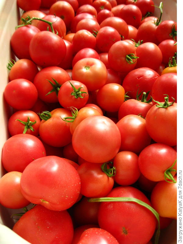 малиновое чудо