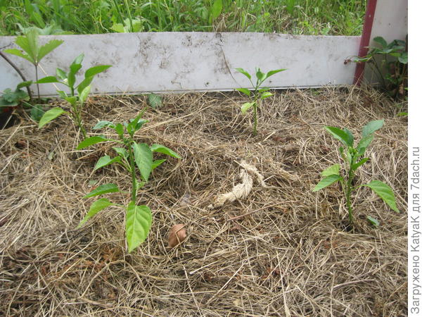 немножко очухались