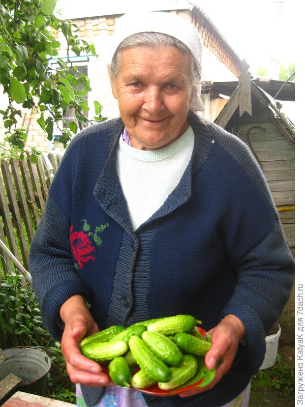 моя бабушка