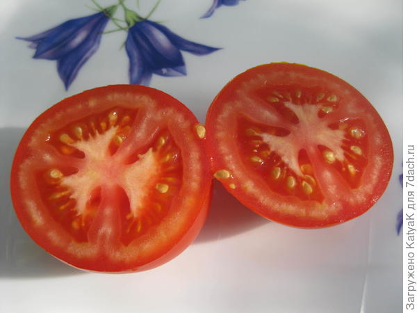 благовест