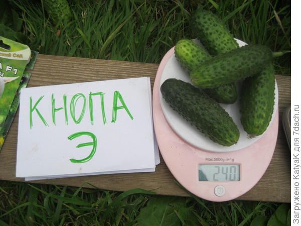 16.07