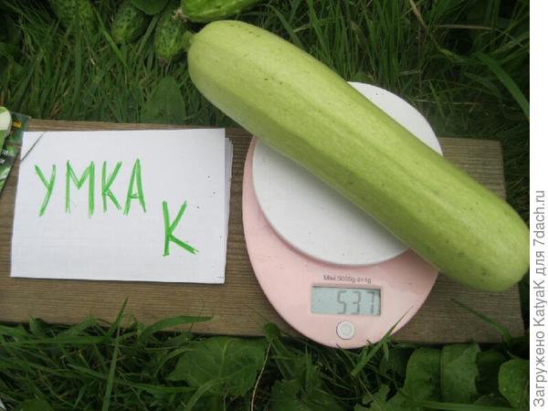16.07