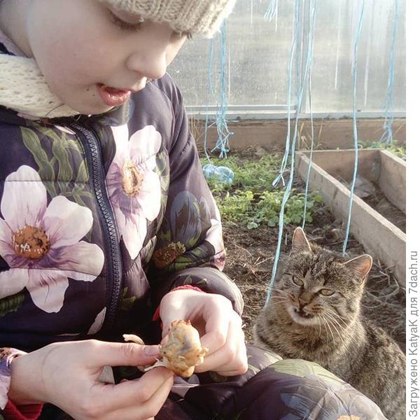 Барсик улыбается