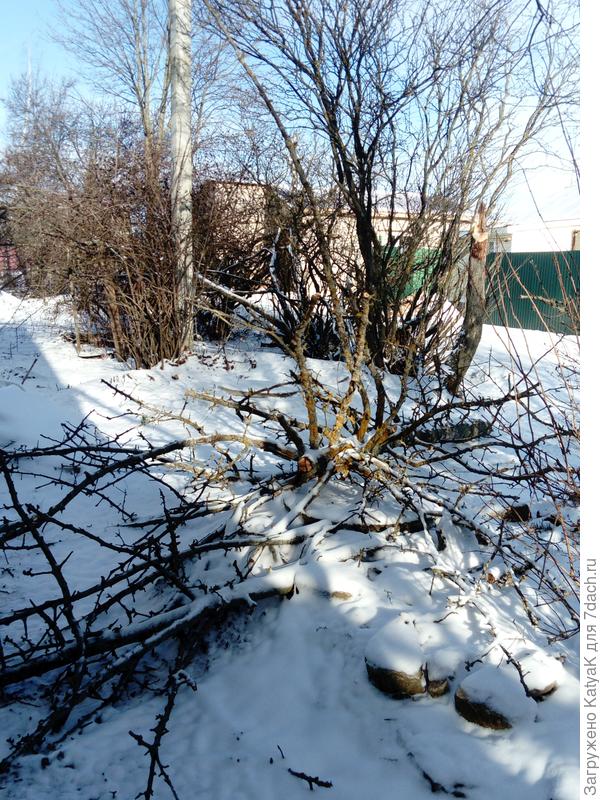 здесь обычно ставим авто, муж вчера забыл загнать