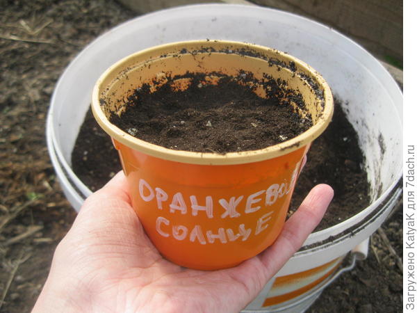 ор