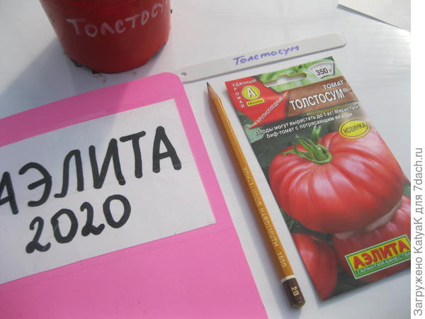 10 марта толстосум