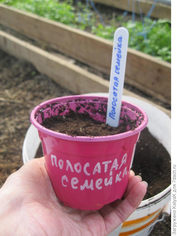 10 марта