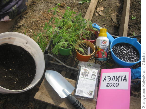 сажаю. томаты аэлита