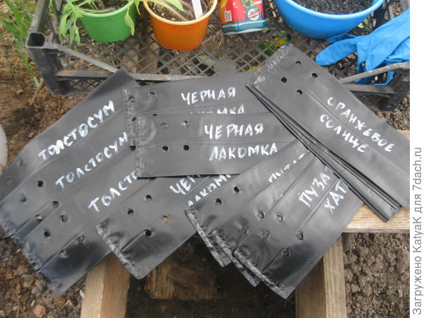 5 апреля