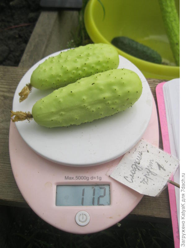 31.07