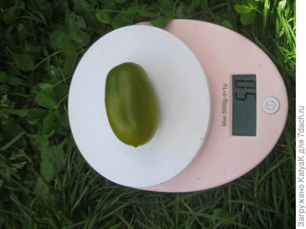 вес1