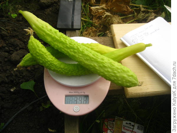 6.08