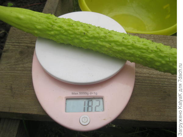 31.07