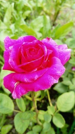 кусочек лета