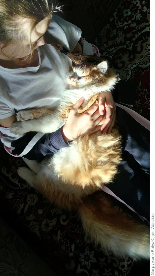 сладкий малыш с дочкой