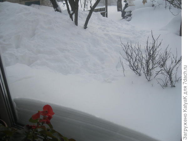 вид из окна