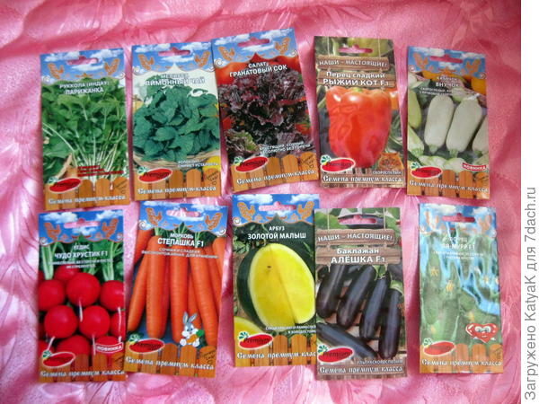 др культуры