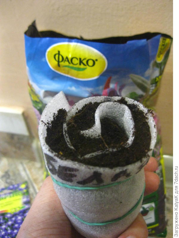 улитка