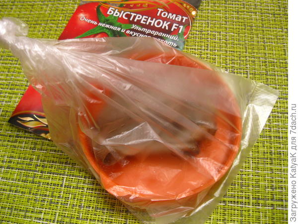 6 марта