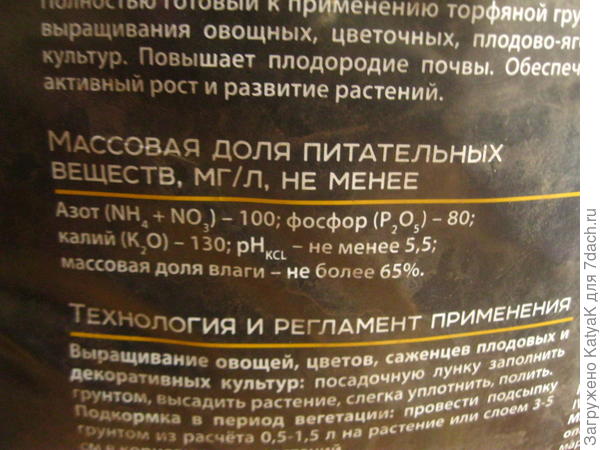 питер пит