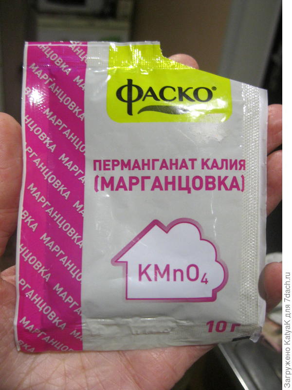 от плесени