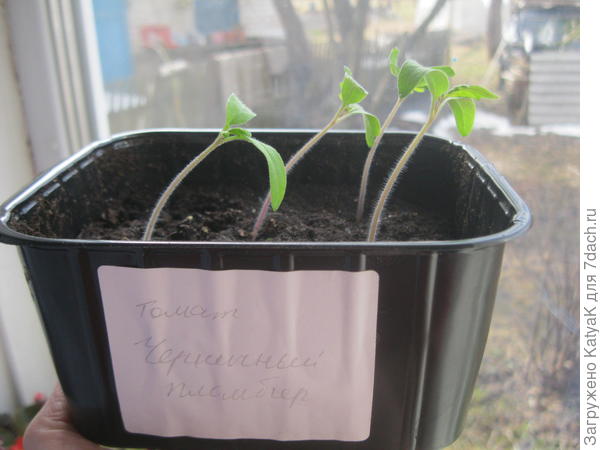 9 апреля