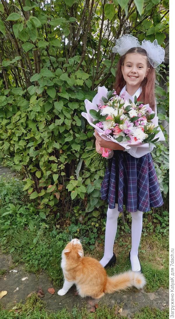 кот Васька провожал и сочувствовал))))