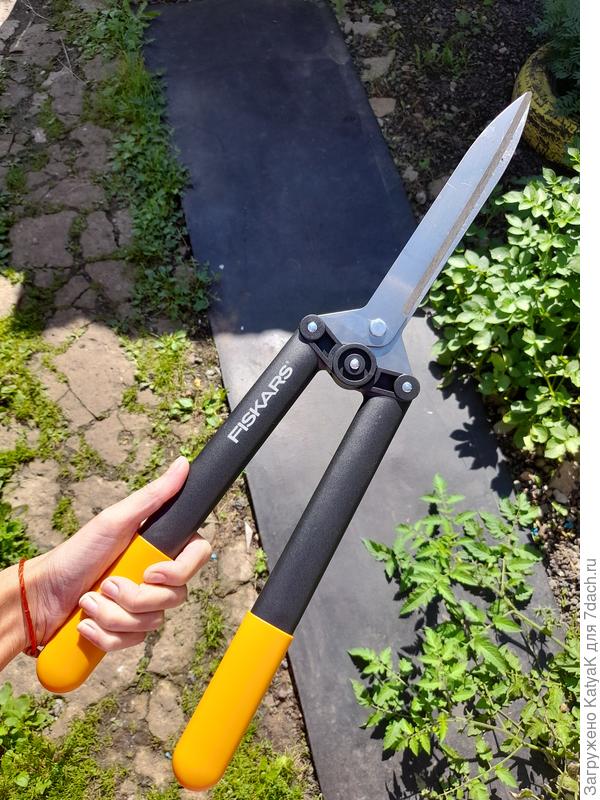 Ножницы для живой изгороди