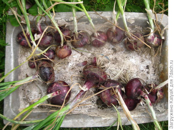 Уборка